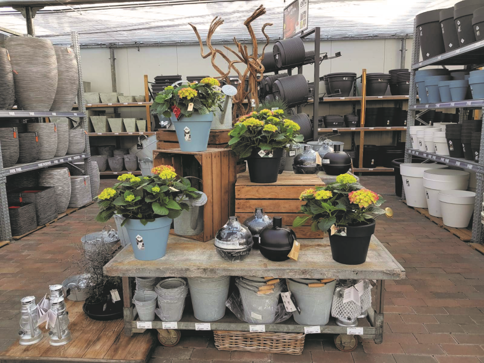 Een Hortensia in pot of een mooie olielamp zijn graag geziene gasten op een terras of balkon!