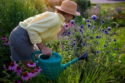 Tuin- en potplanten met zomerse geuren