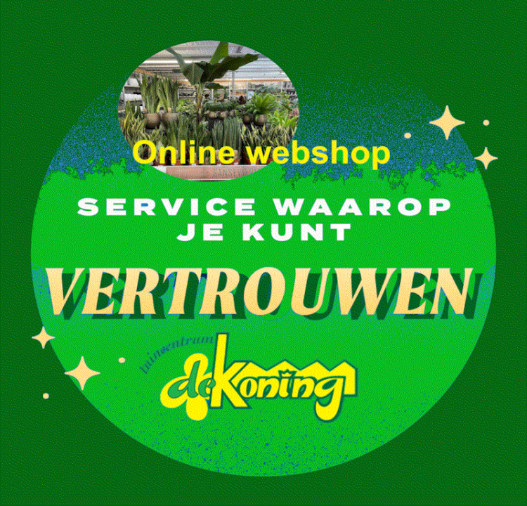 Peter en Andriesje de Koning van Tuincentrum de Koning op de Meerweg 3 in Rohel Over ons - Tuincentrum de Koning