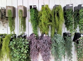 Zijdebloemen en planten