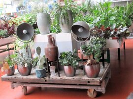 Binnenpotten & buitenpotten