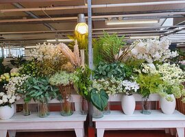 Zijdebloemen en planten