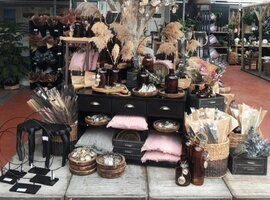 Zijdebloemen en planten