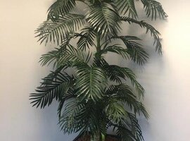 Zijdebloemen en planten