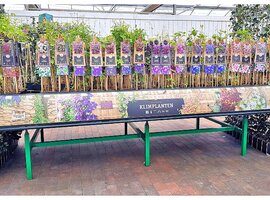 Rozen en klimplanten