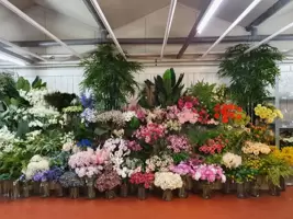 zijdebloemen en zijdeplanten & seizoen bloemen, planten en takken