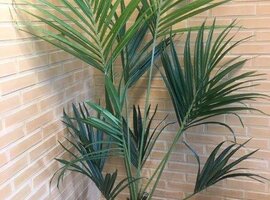 Zijdebloemen en planten